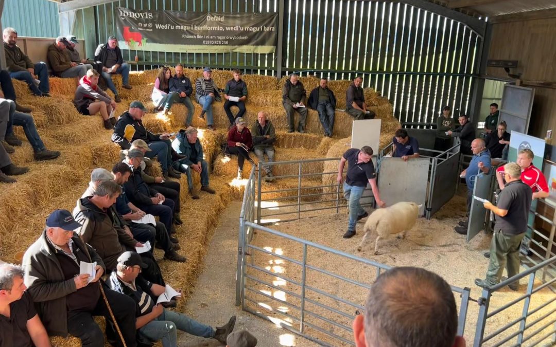 2026 ProHill Ram Sale Report