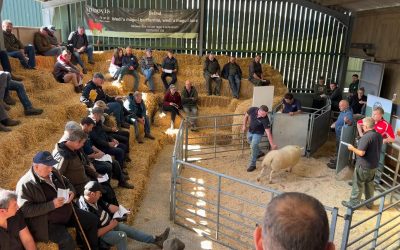 2026 ProHill Ram Sale Report